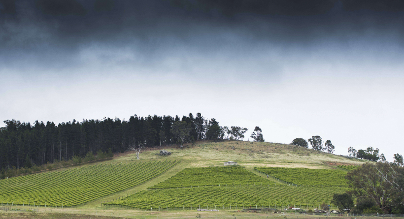 Mount Majura Vineyard Winery